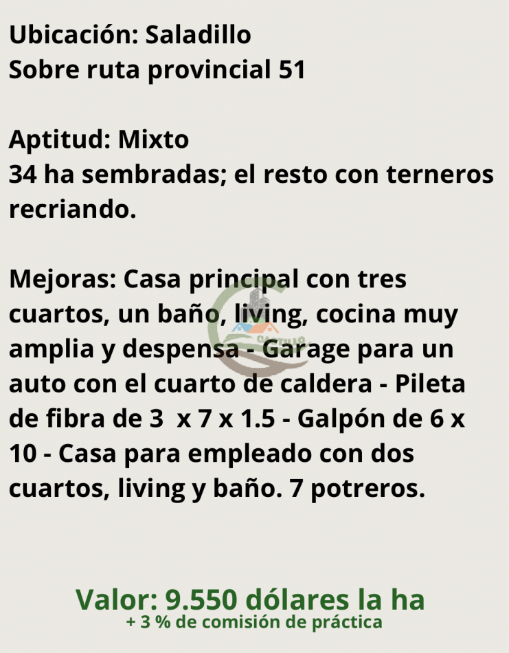 42 ha mixtas - saladillo