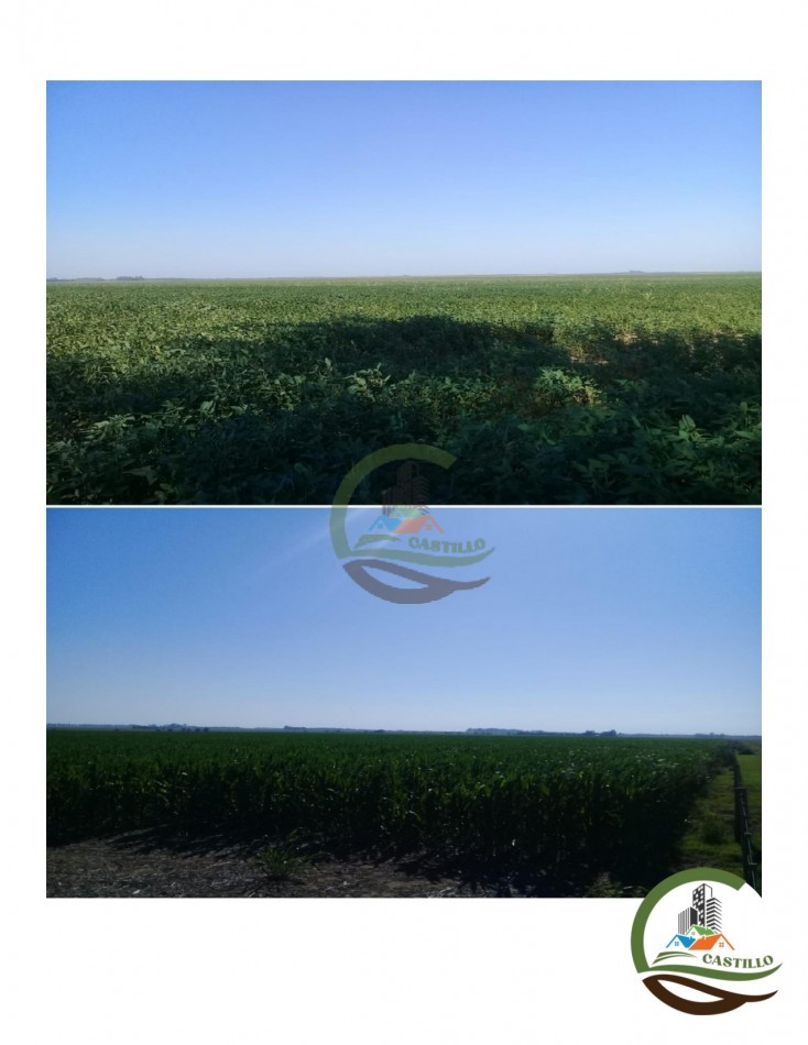 3570 ha Agricolas - Rio Cuarto