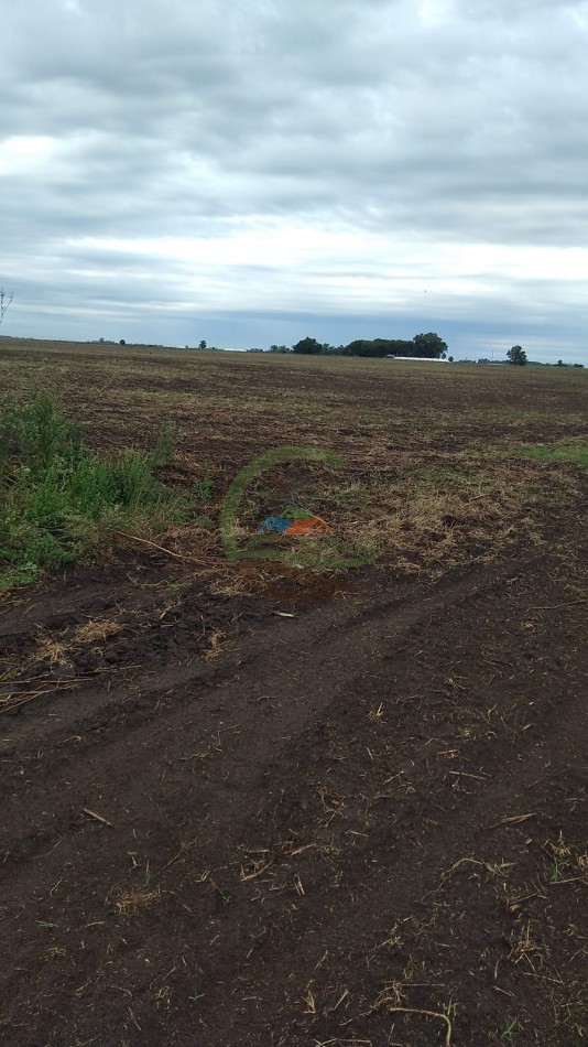 60,5 ha Mixto - 25 de Mayo