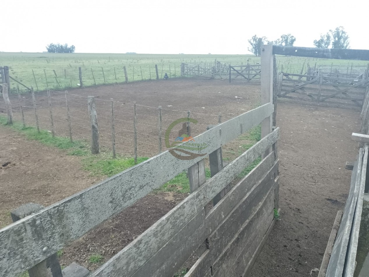 286 ha Ganaderas - Las Flores