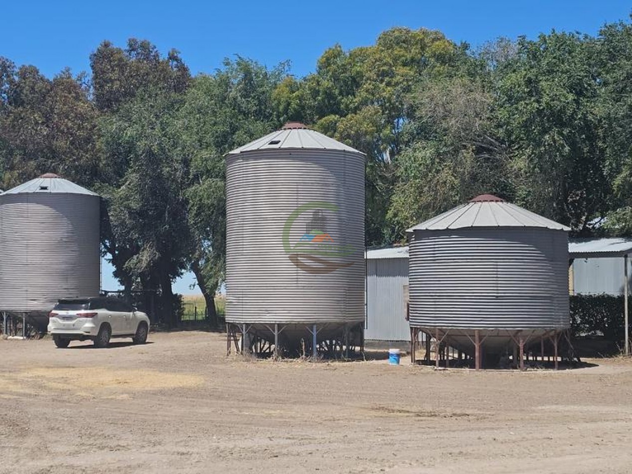 730 Ha Agricolas - Carmen de Patagones