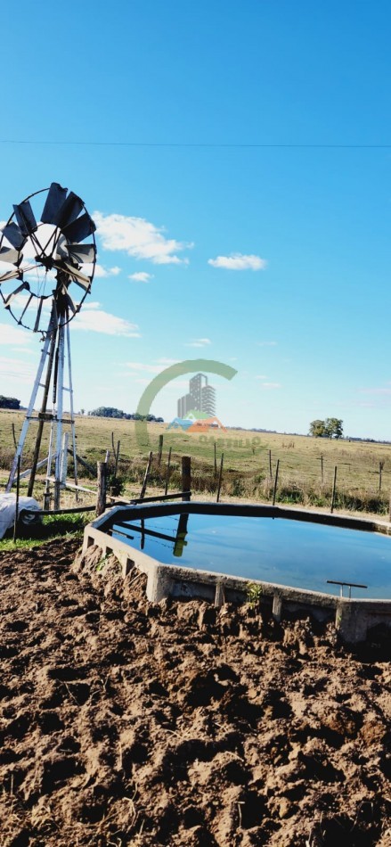 12,6 ha Mixtas - Saladillo