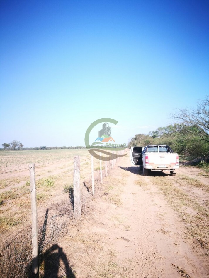 21000 ha mixto santiago del estero