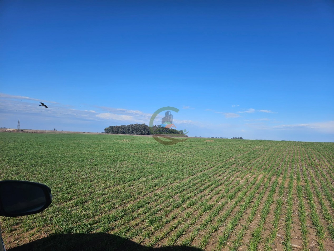 797 ha Agricolas - Bolivar