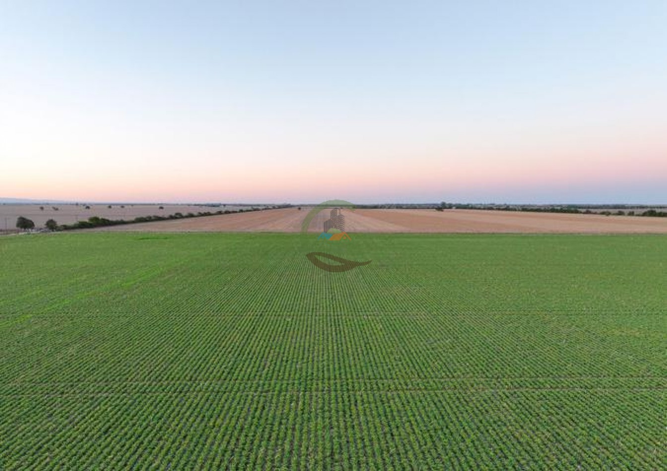 950 Ha Agricolas - Monte Cristo - Cordoba 