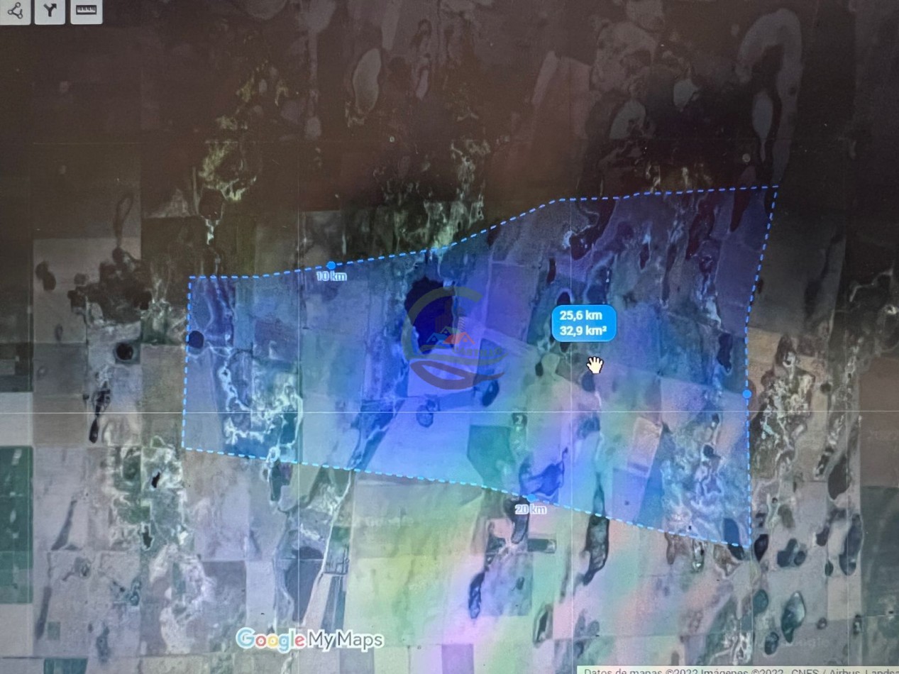 3900 ha Mixtas - La Carlota