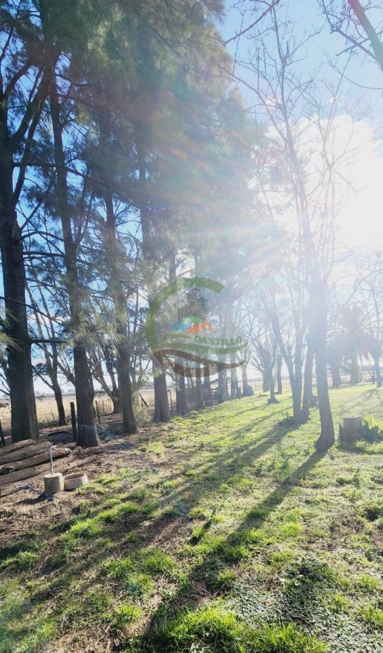 12,6 ha Mixtas - Saladillo