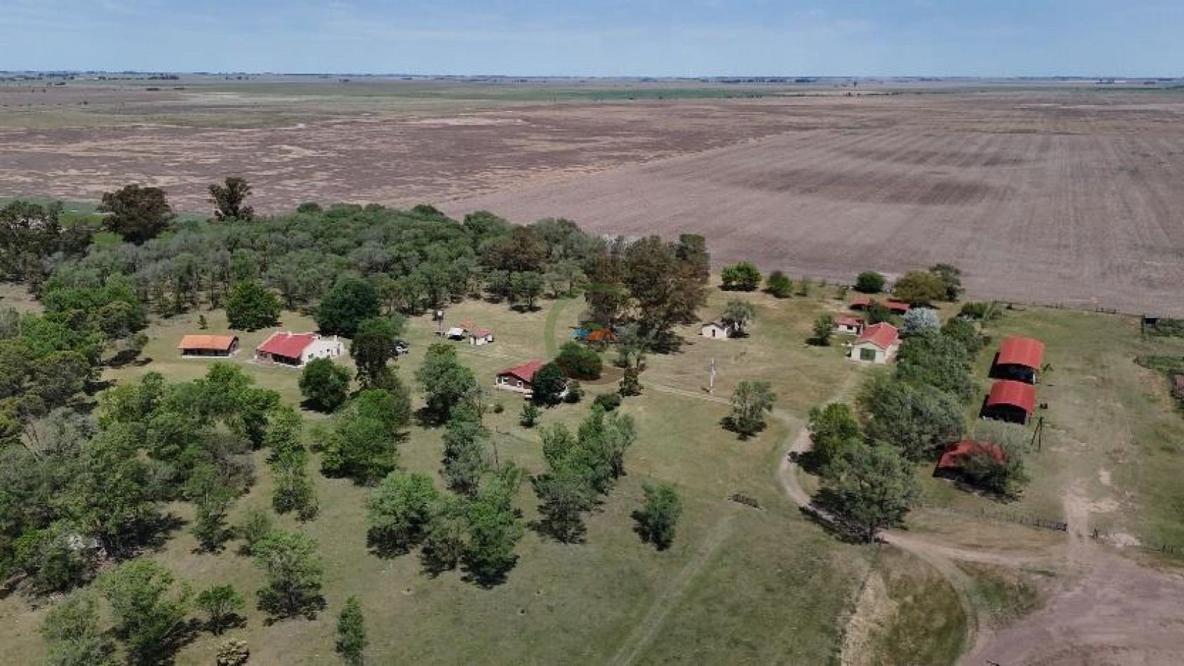 2213 Ha Mixto - Colonia Sere - Carlos Tejedor