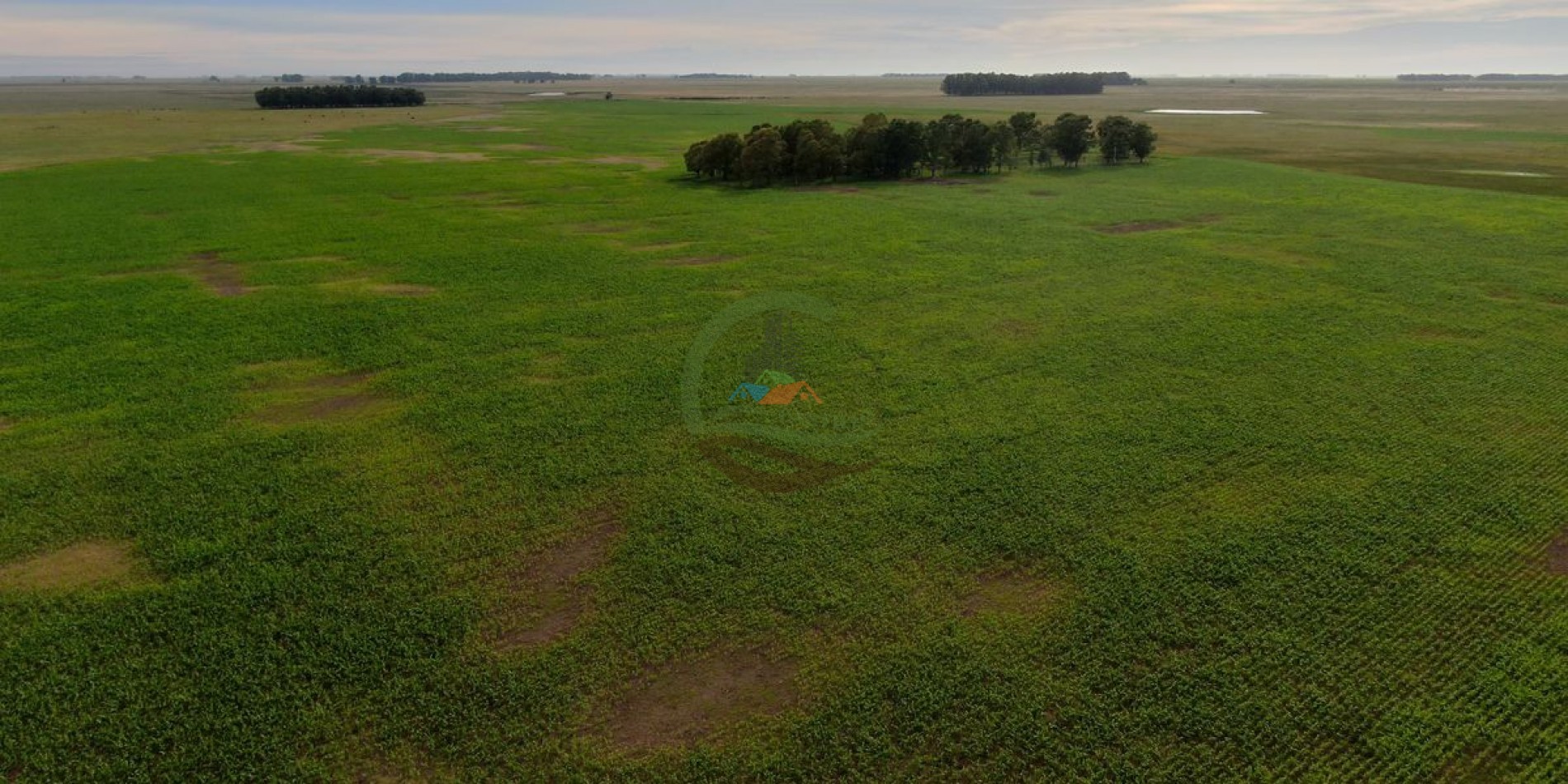 3977 ha Mixto - Olavarria