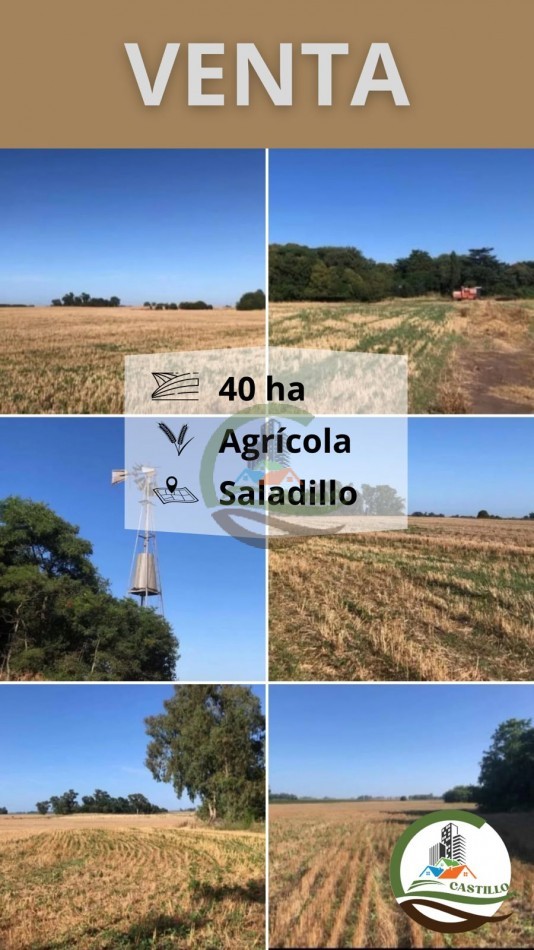 40,3 ha Mixtas - Saladillo