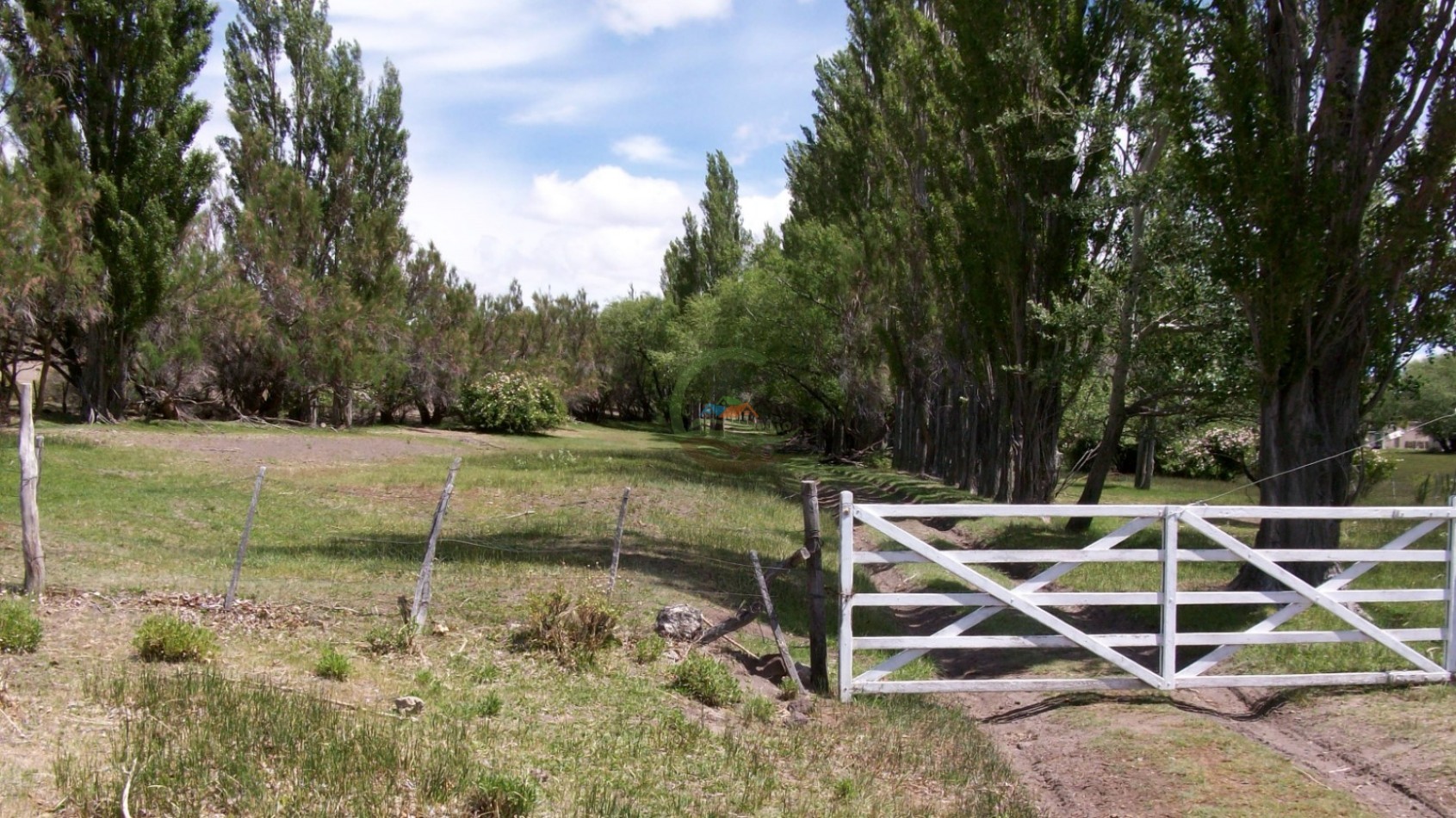 50000 ha Ganadero - Santa Cruz
