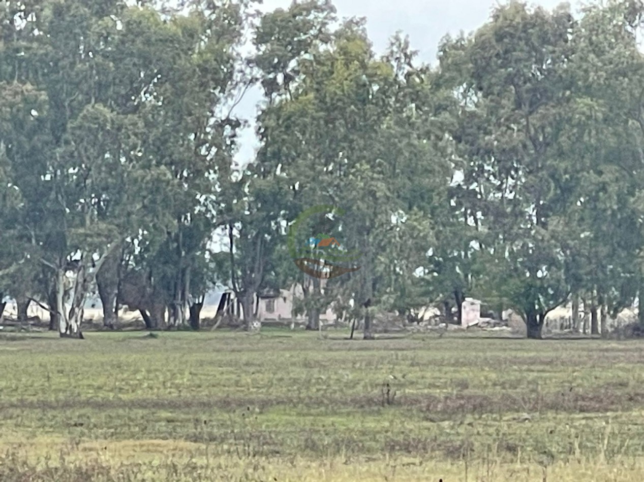 47 ha Ganadera - Olavarria