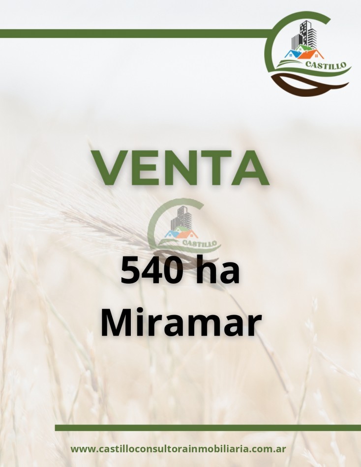 540 ha agricolas - miramar