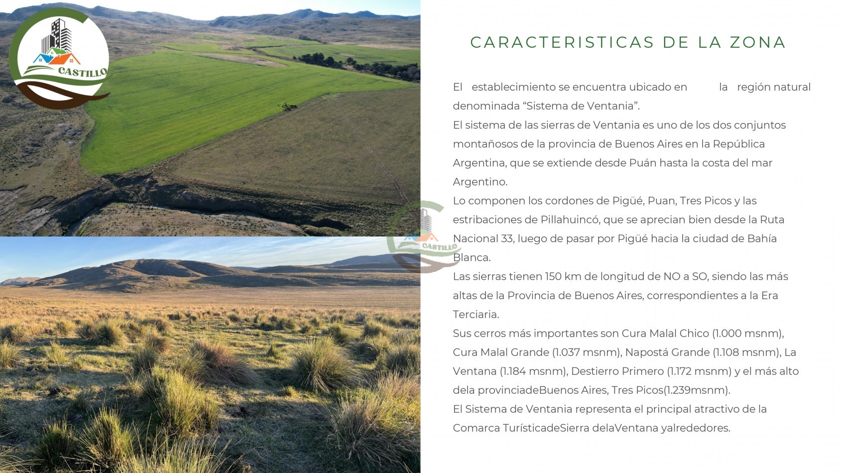 6570 ha Mixtas - Coronel Suarez