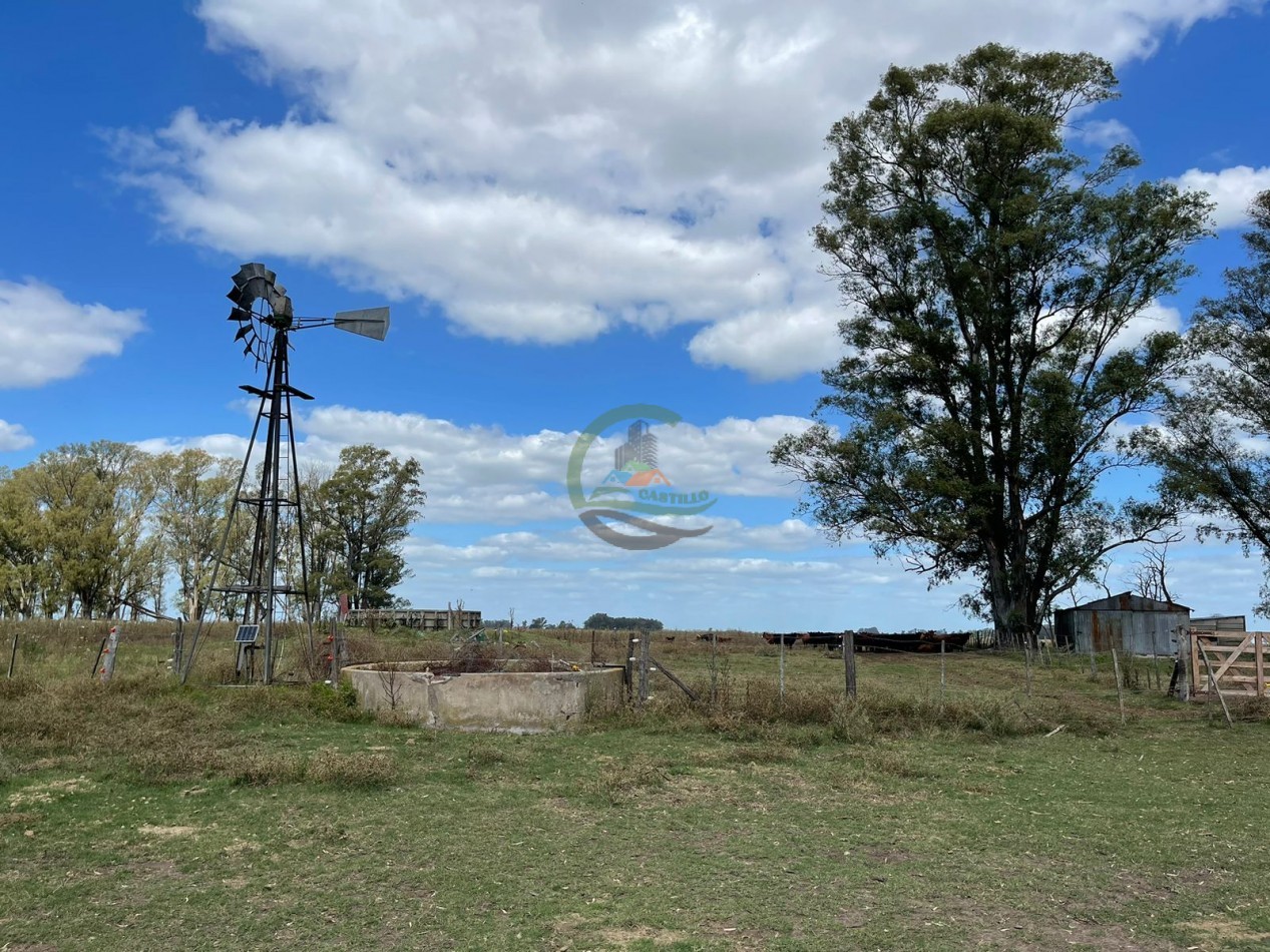 78 ha Mixtas - Saladillo