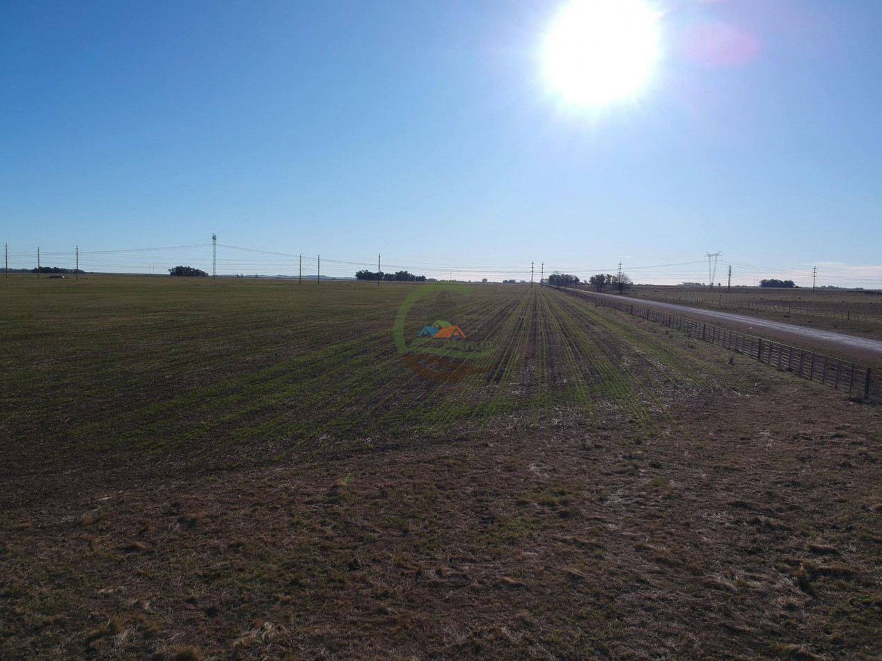 48 ha mixto - Olavarria