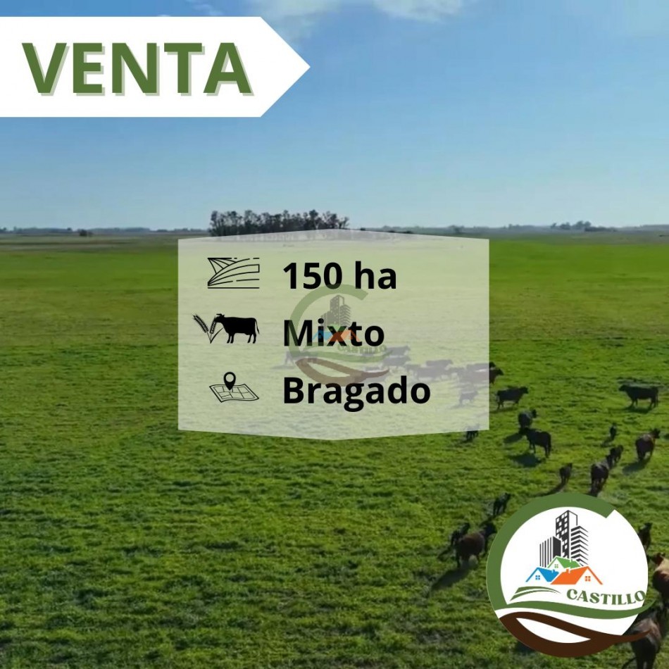 168 ha mixtas - bragado