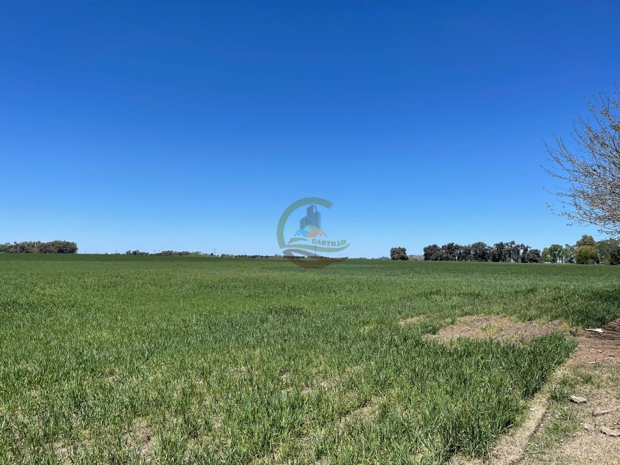 102 ha Agricolas - 25 de Mayo 