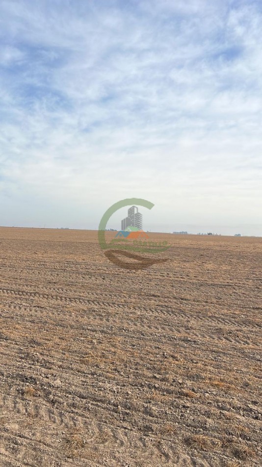 1240 Ha Mixto - 17 de Agosto - Puan