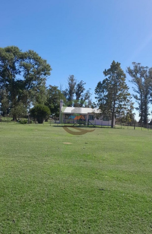 350 ha Agricolas - San Cayetano