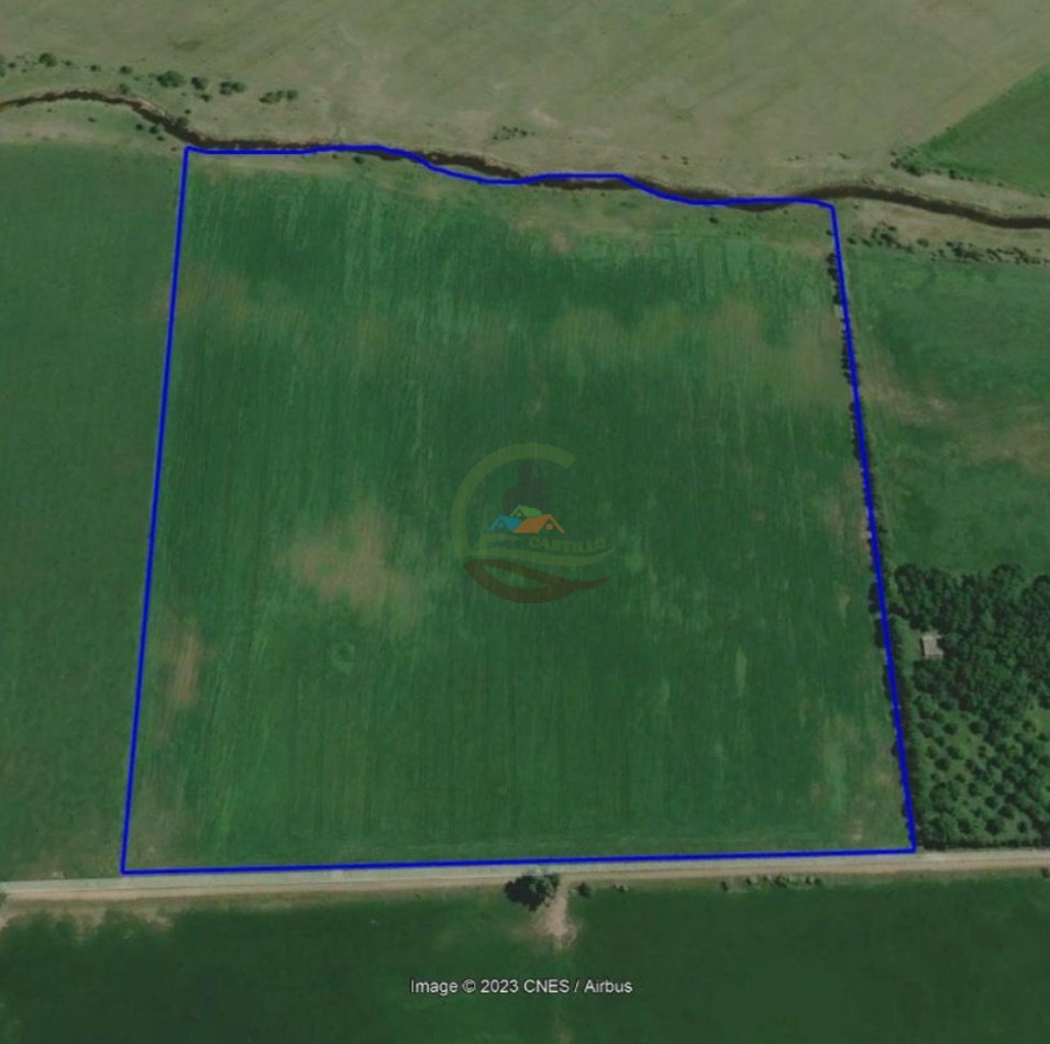 19,5 ha agricolas - pergamino