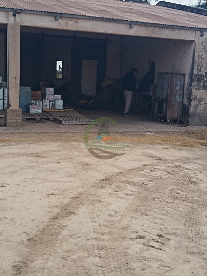 360 Ha Agricolas - Tostado - Santa Fe 