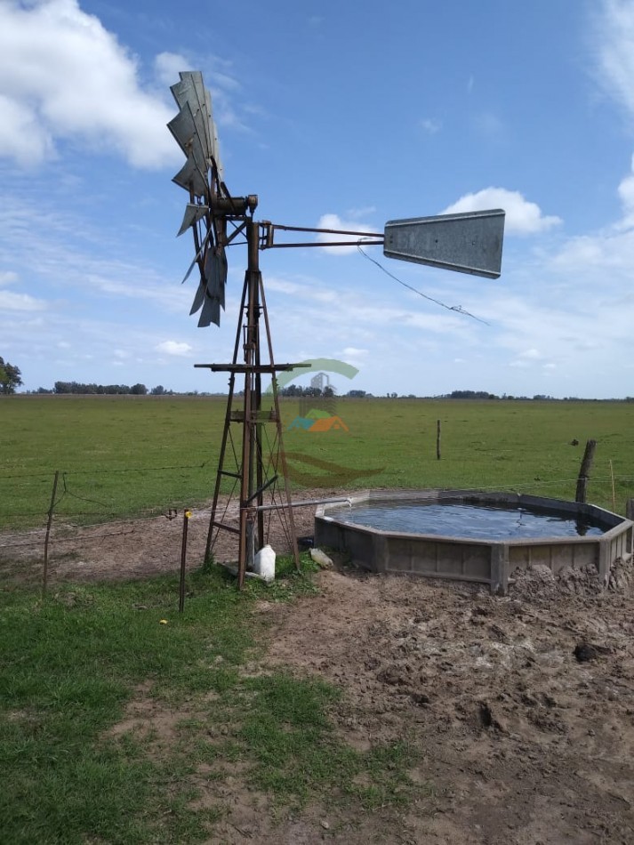 20 ha mixtas - saladillo