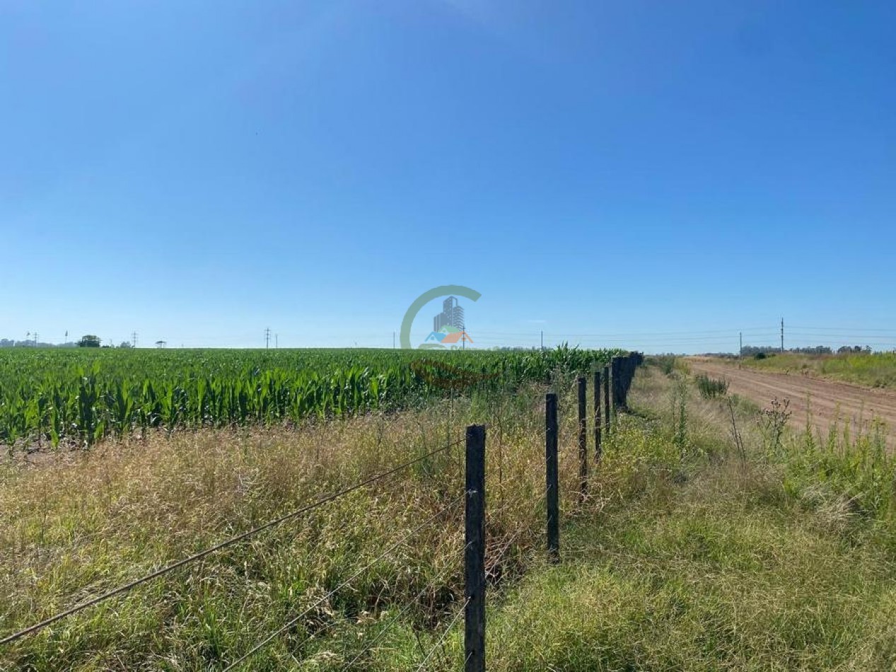 58 Ha Agricolas - Bolivar
