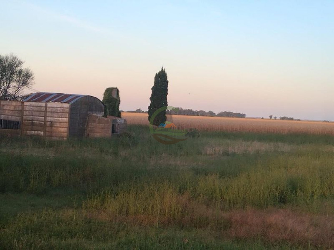 280 Ha Agricolas - General Alvear