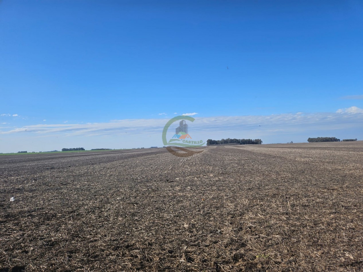 797 ha Agricolas - Bolivar