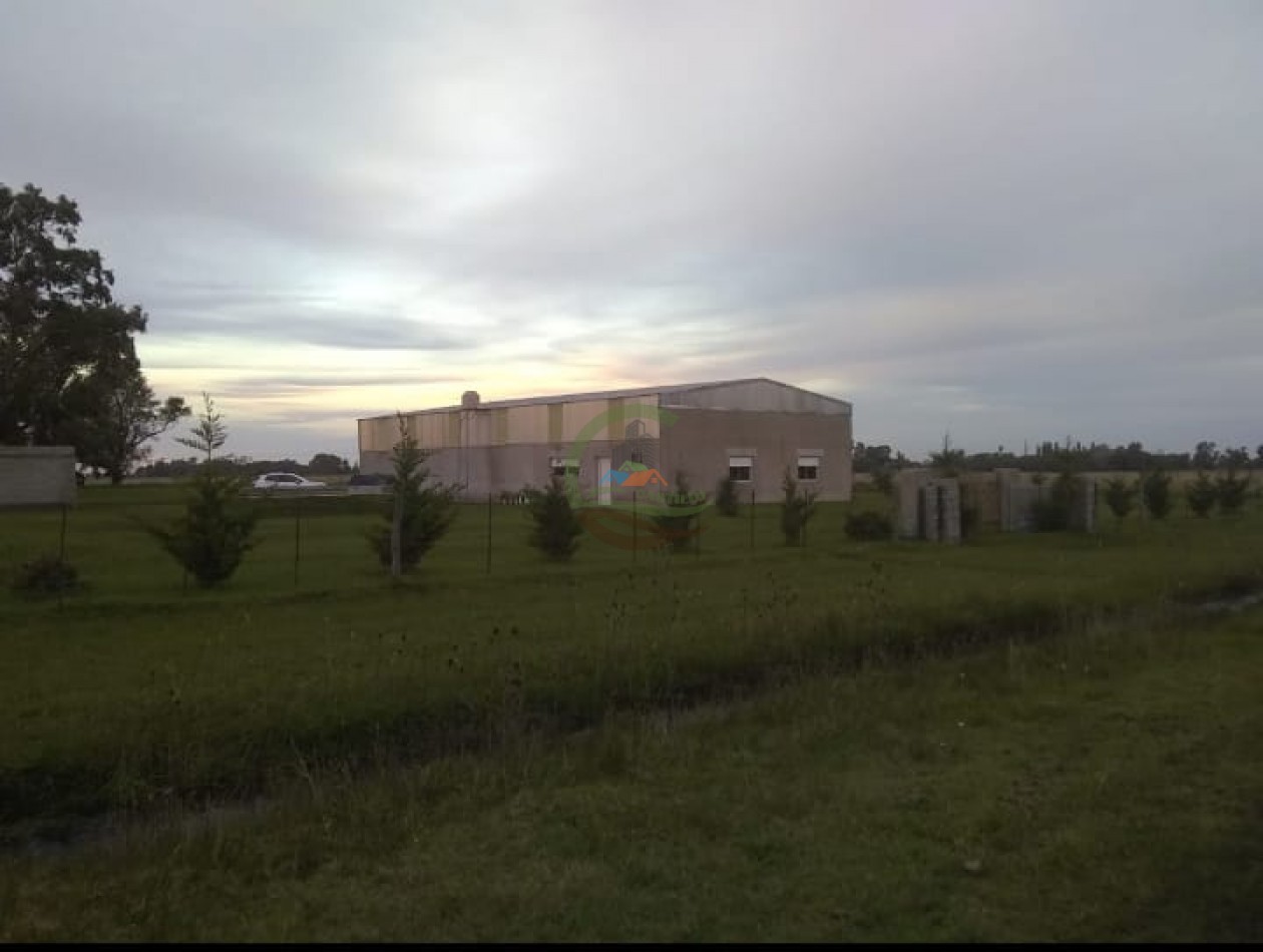 25 ha Mixto - Olavarria 