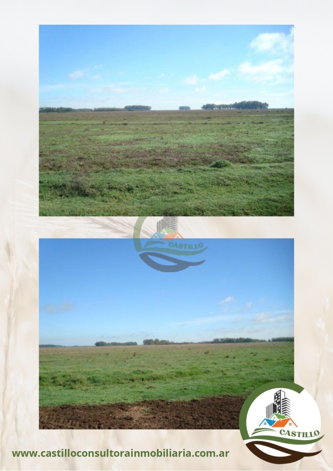 2109 ha mixtas - uruguay