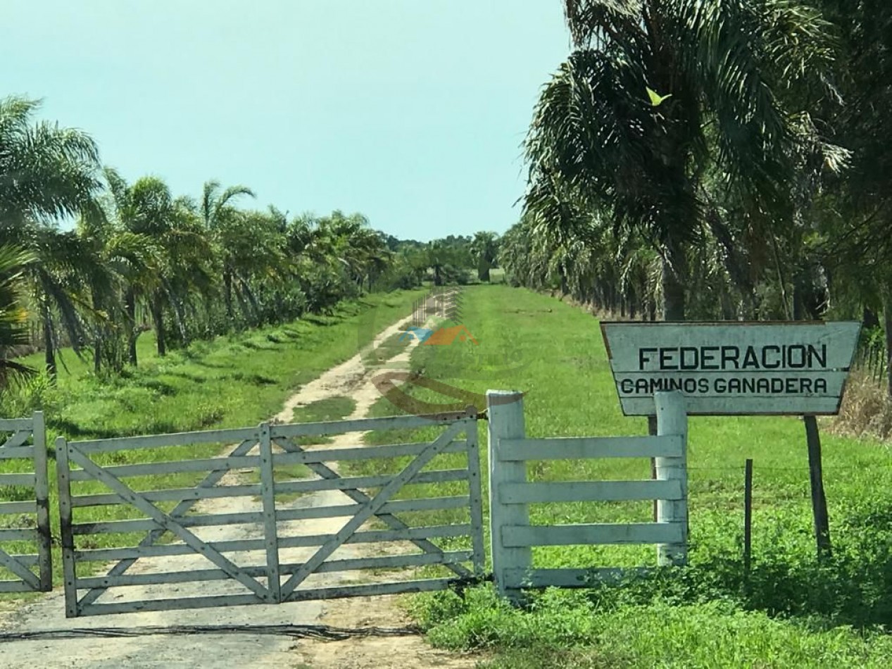 43000 ha MIxtos - Formosa