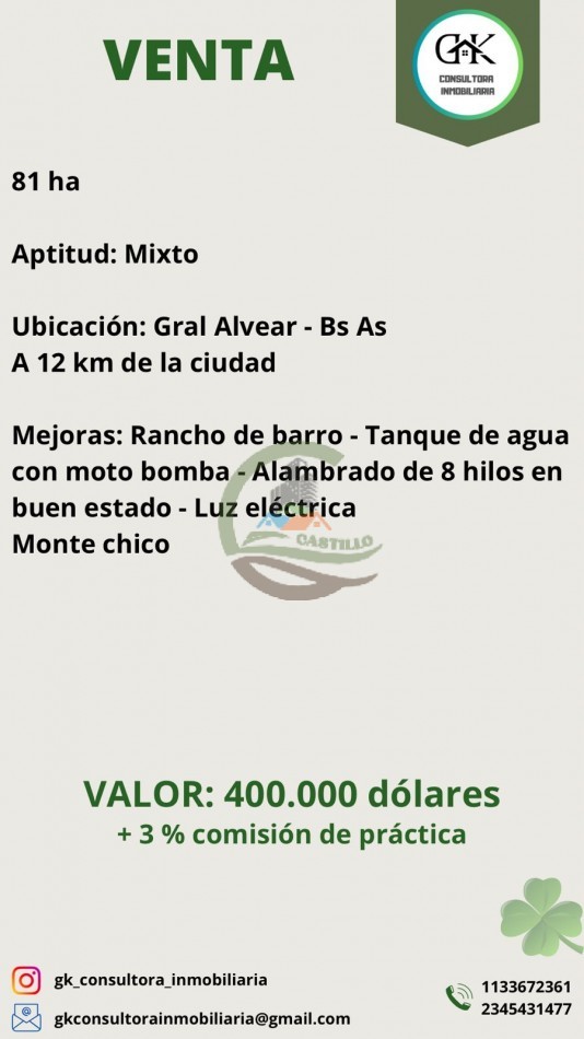 81 ha Mixto - Alvear