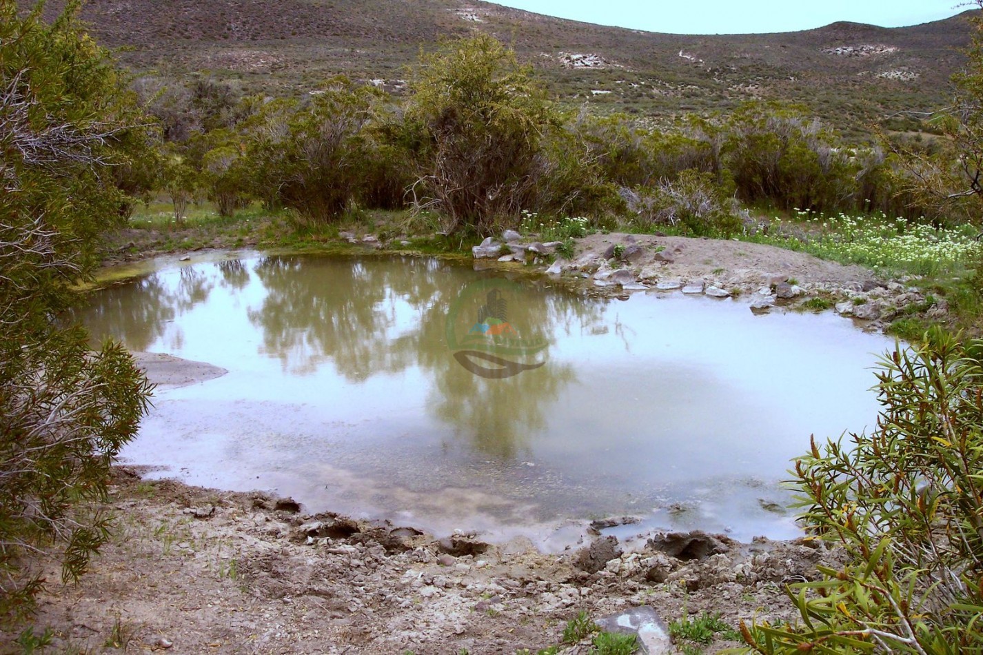 93000 ha Ganaderas - Pasos de los Indios - Chubut