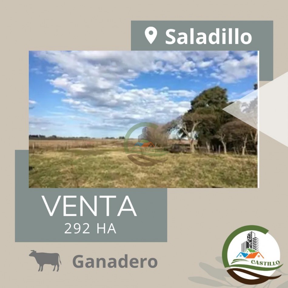 292 ha Mixtas - Del Carril