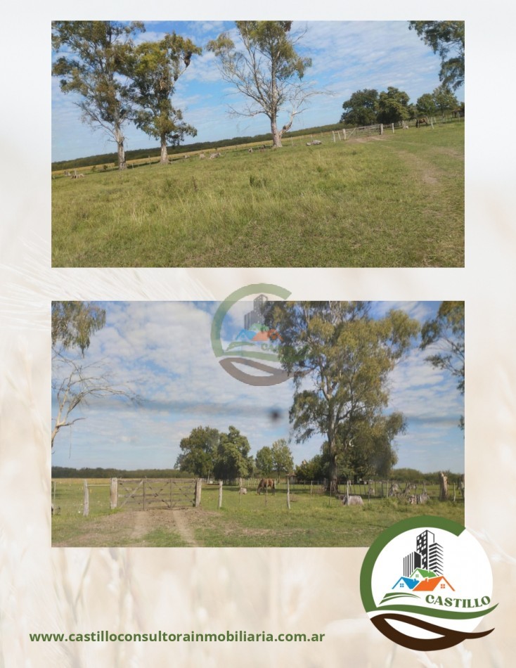 328 ha mixto - entre rios