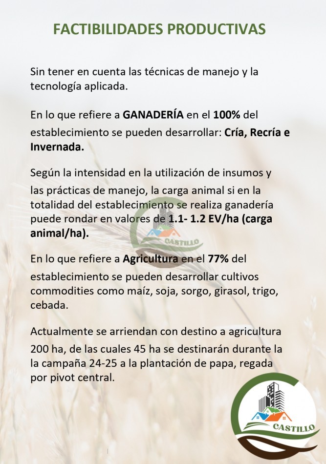 254 ha mixtas - balcarce