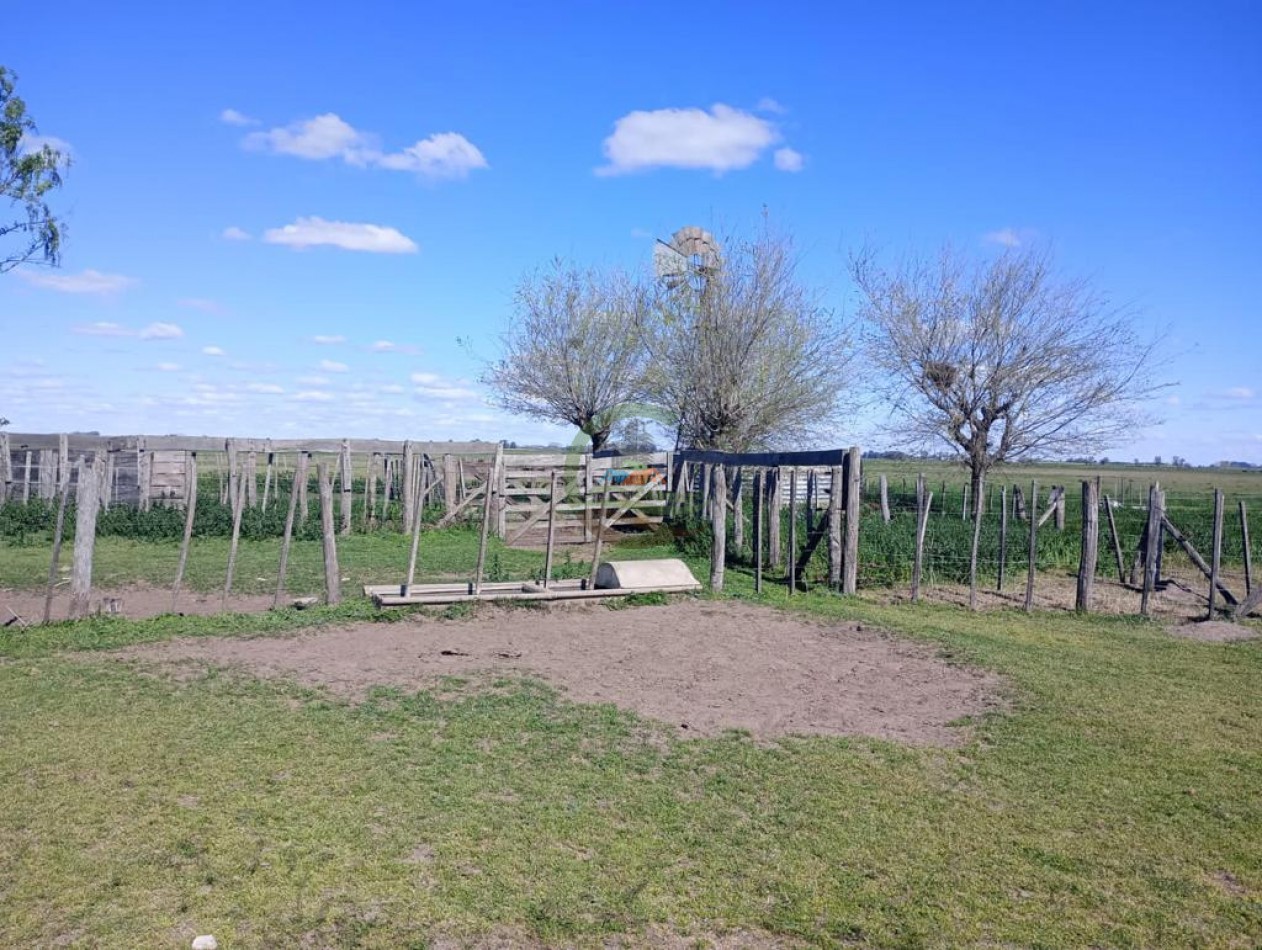 150 ha Ganaderas - 25 de Mayo