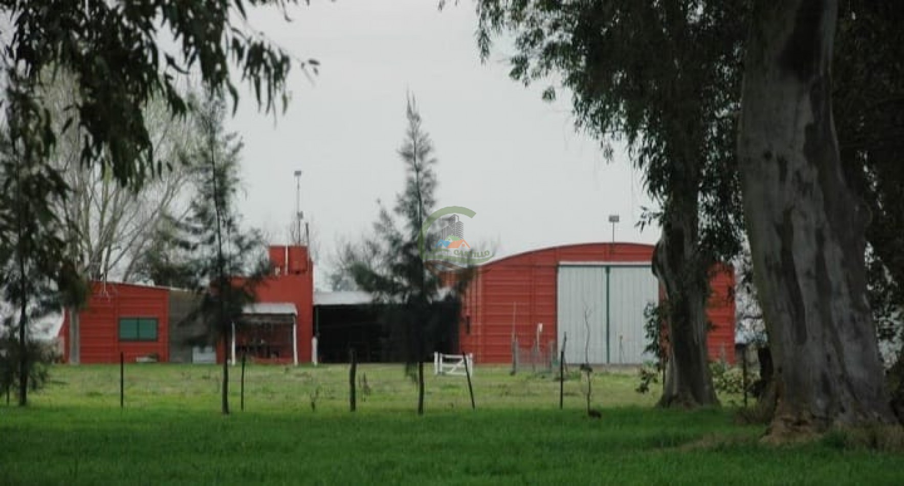 372 ha Mixtas - Las Flores