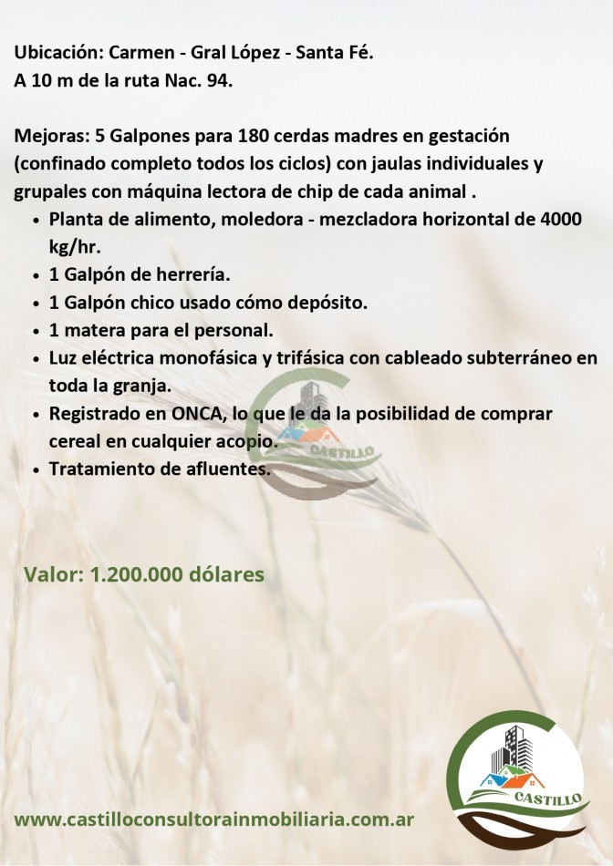 4 ha Granja porcina - santa fe