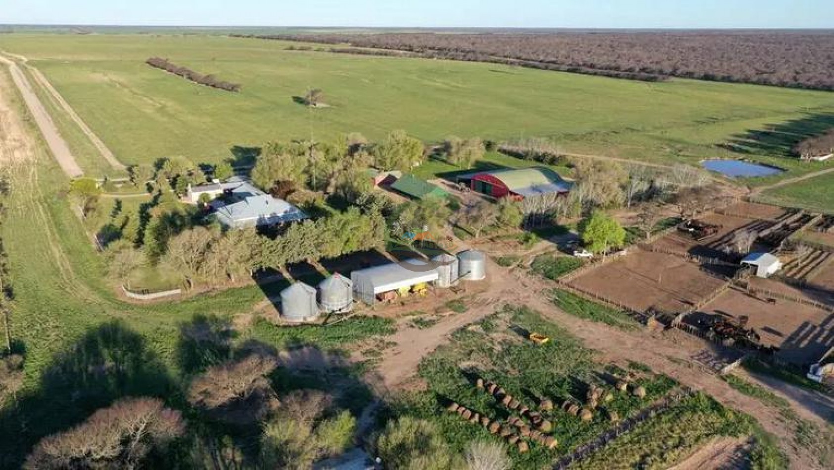 5000 Ha Ganadero - Conhelo - La Pampa