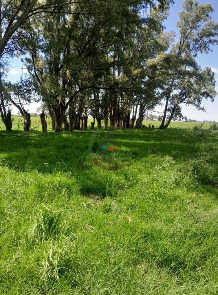 125 Ha MIxto - Bolivar