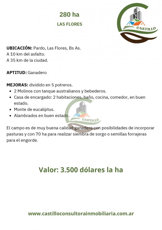 280 ha ganadero - las flores