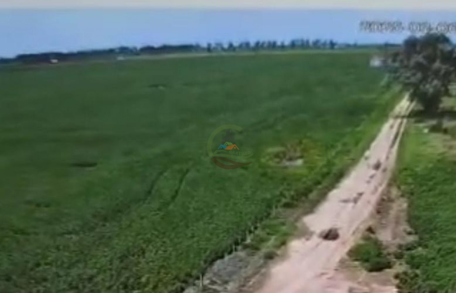 690 Ha Mixto - Pergamino