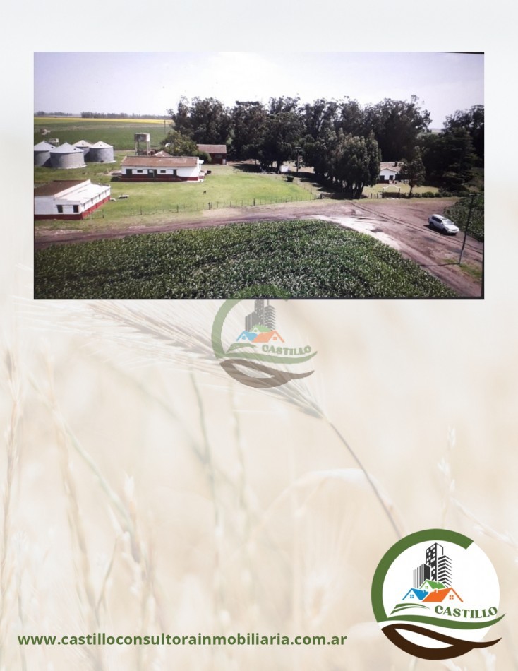 540 ha agricolas - miramar