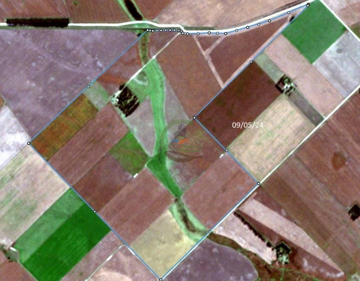 396 ha Mixto - La Dulce