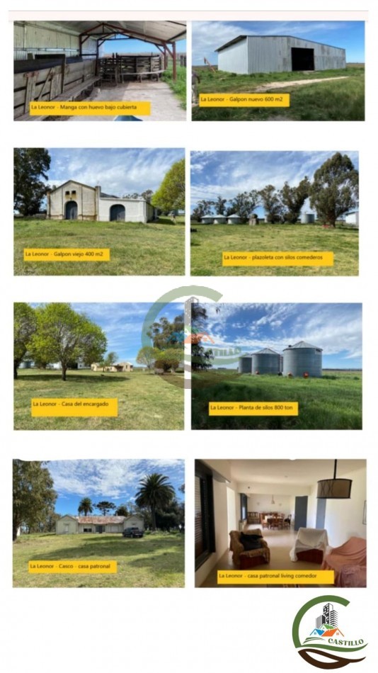 505 ha Agricolas - San Cayetano