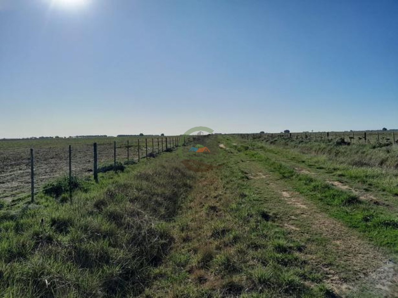 324 Ha Agricolas - San Cayetano