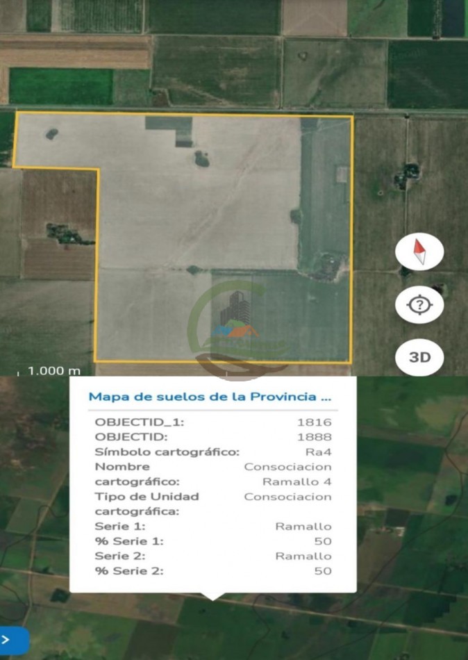 199 ha Agricolas - Pergamino 